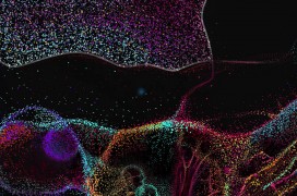 BB Biotech Incyte Biotechnologie Forschung